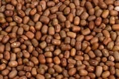 nyota beans