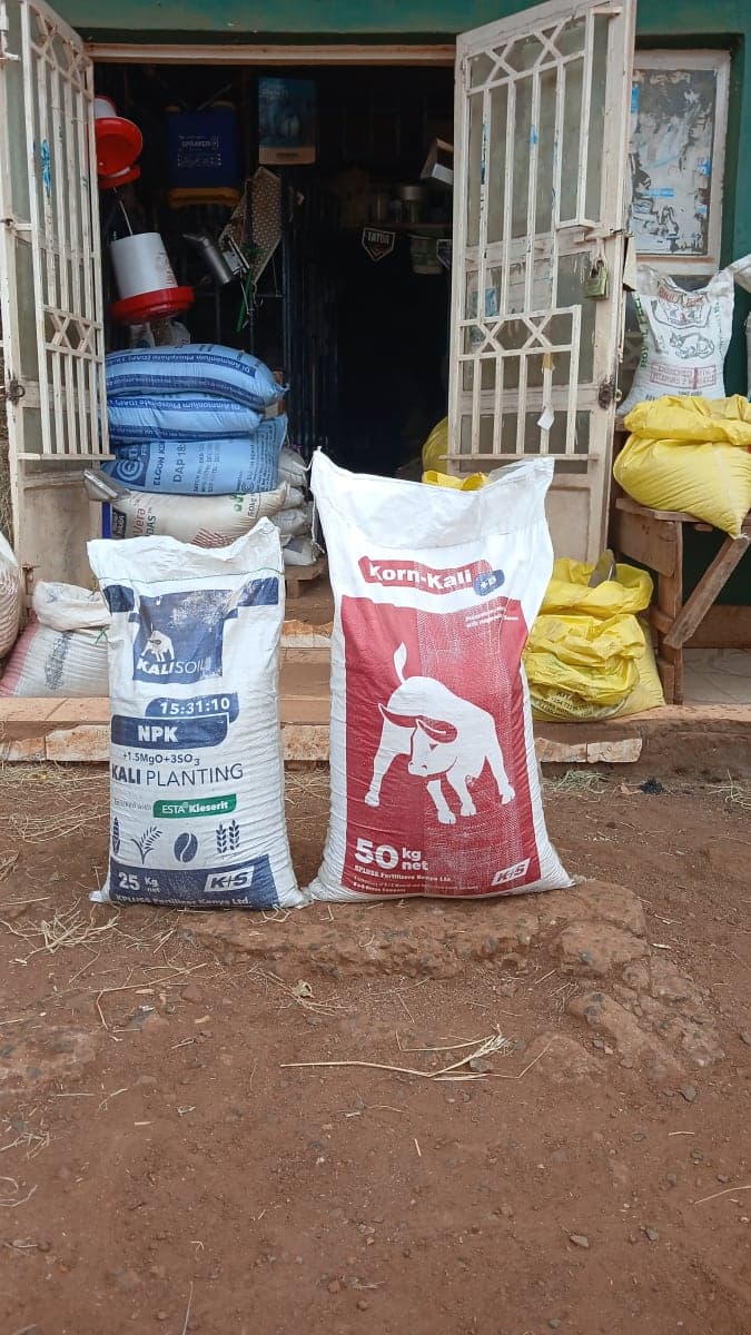 Kali planting fertilizer Kenya, potassium fertilizer maize, Elgon Kali planting