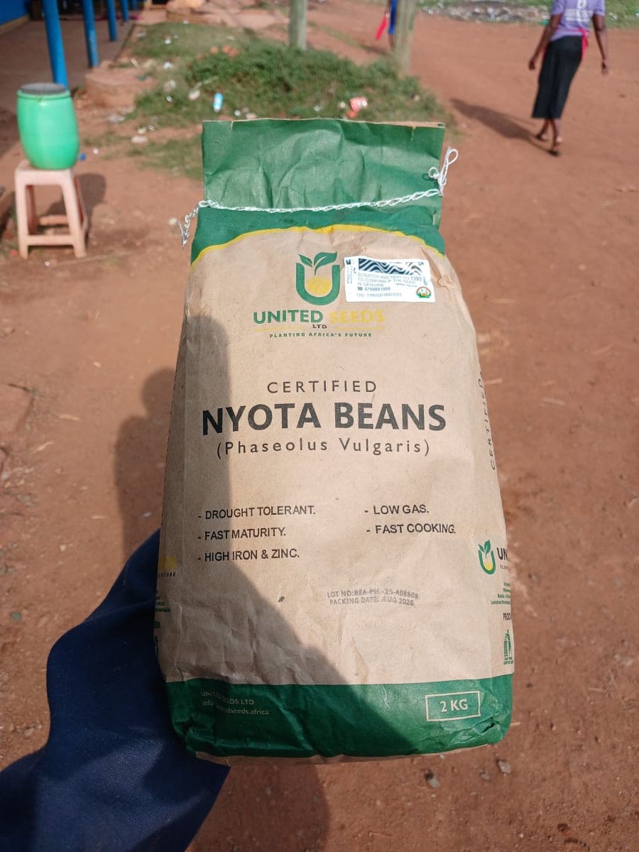 nyota beans