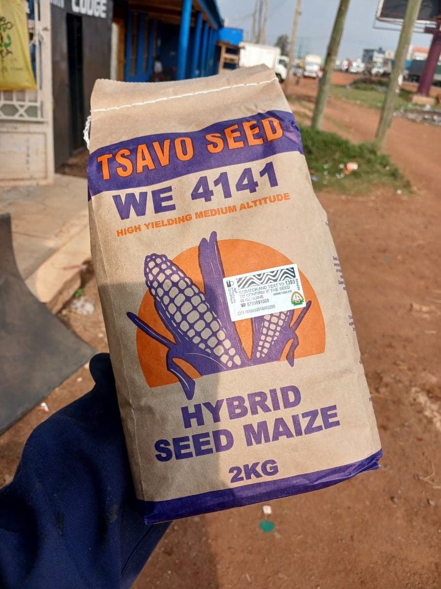 Tsavo 41 41 2 kg