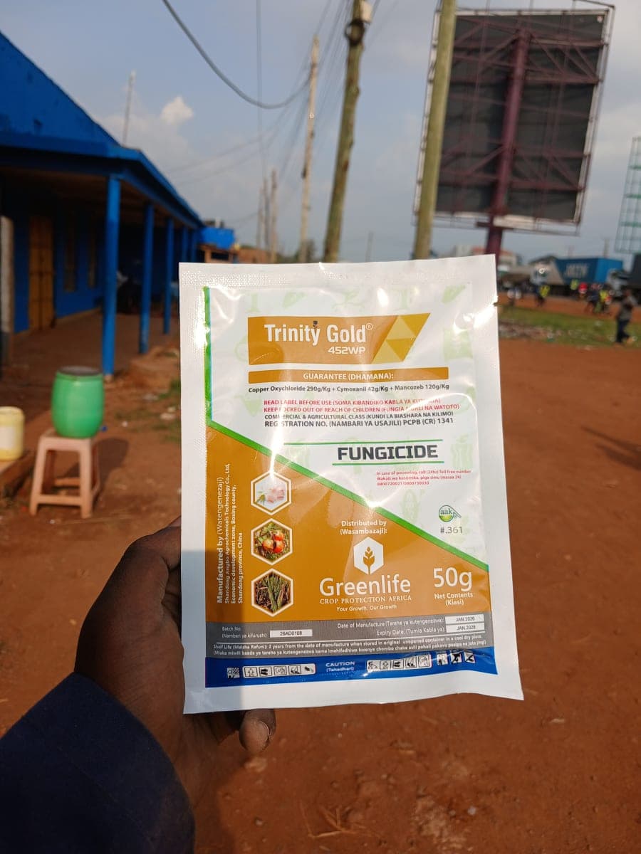Trinity Gold 50 g