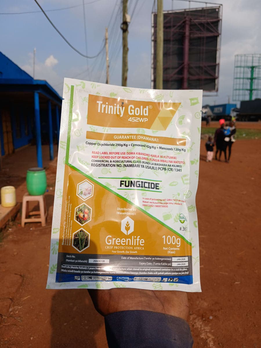 Trinity Gold 100 g