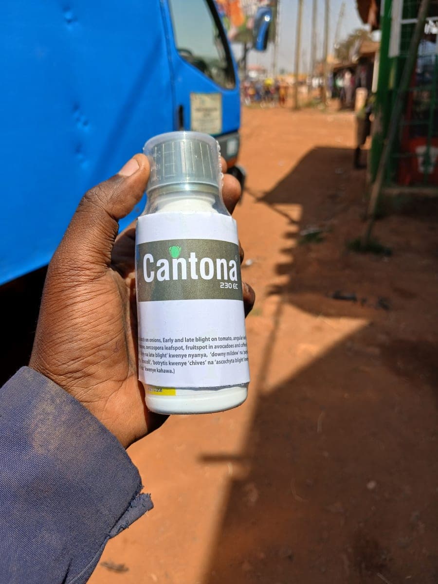 cantona 25 ml
